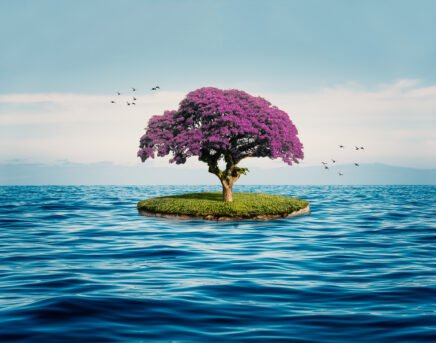 Planting Trees and Saving the Seas – Environmental Impact