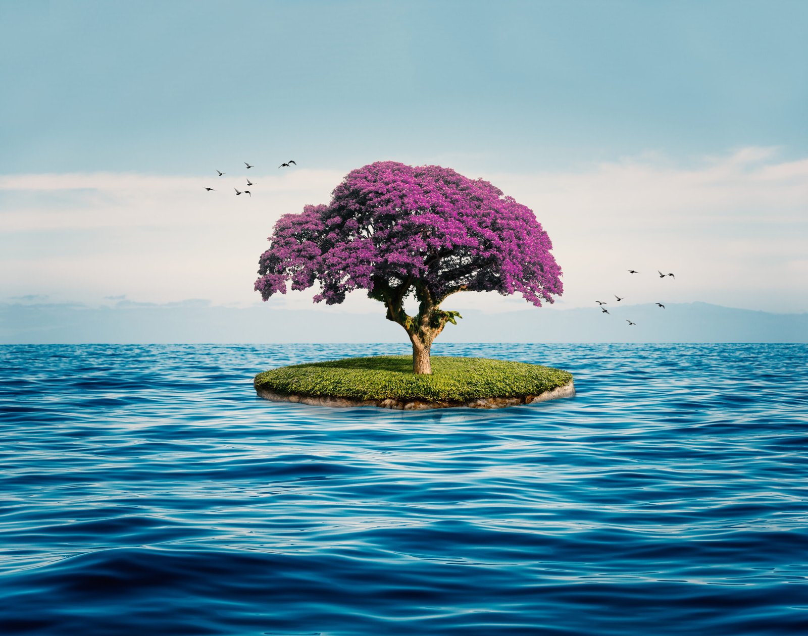 Planting Trees and Saving the Seas – Environmental Impact