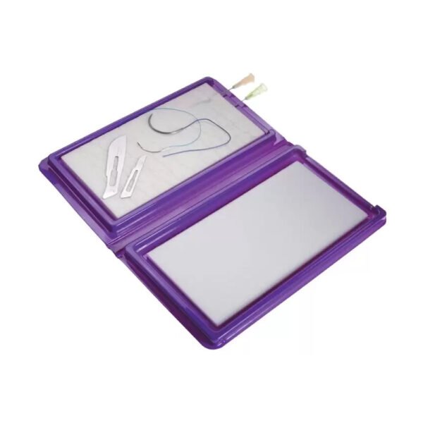 Purple Turtle