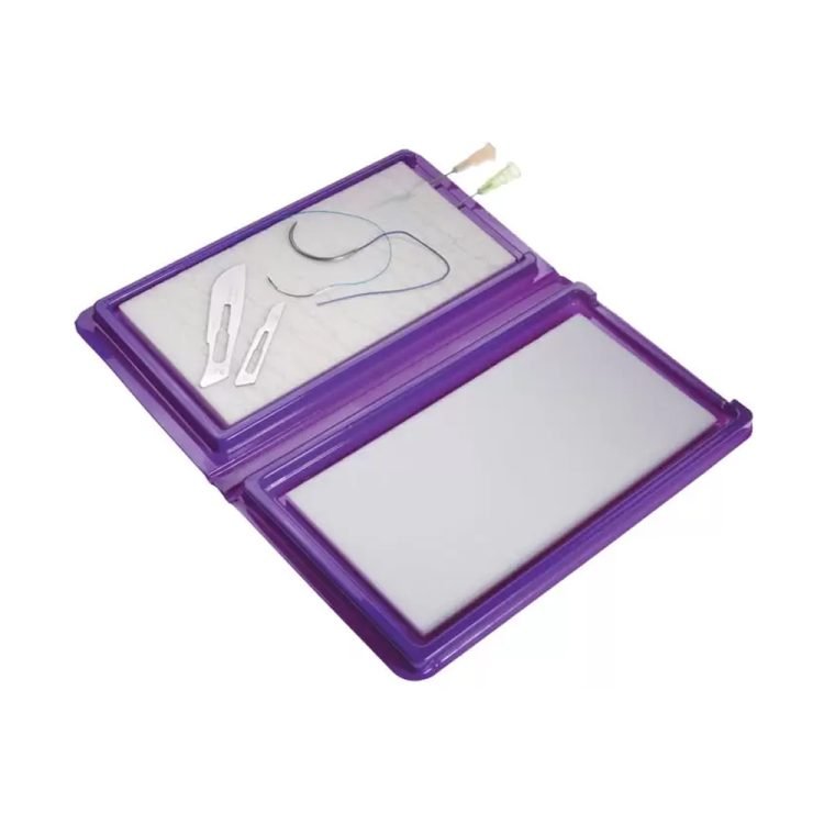 Purple Turtle - Image 1